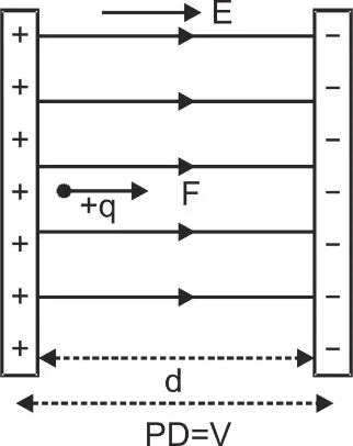 C:\Users\Local User\Desktop\1.webp