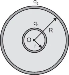 C:\Users\Local User\Desktop\8.webp