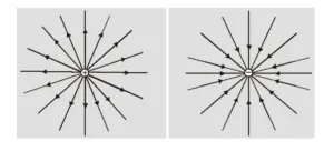 What are electric lines of force