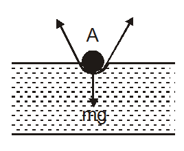Surface tension on liquid