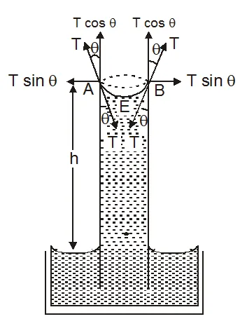 What is capillarity in Physics