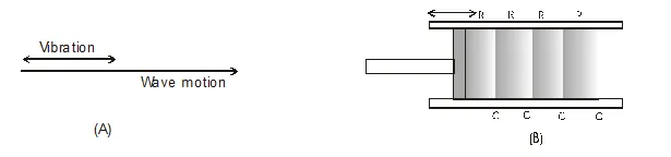 Types of Waves in Physics