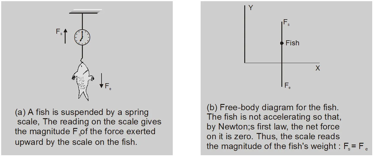Newton's Laws of Motion practice diagram