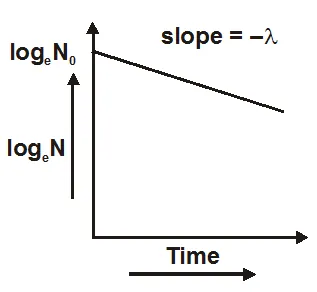 State the law of radioactive decay
