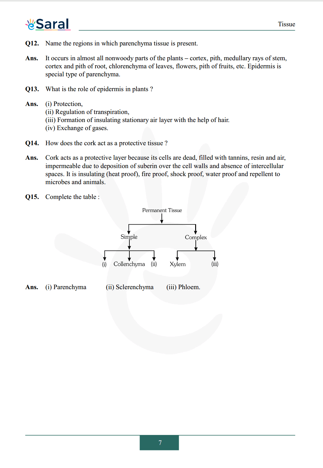 Solution page 8