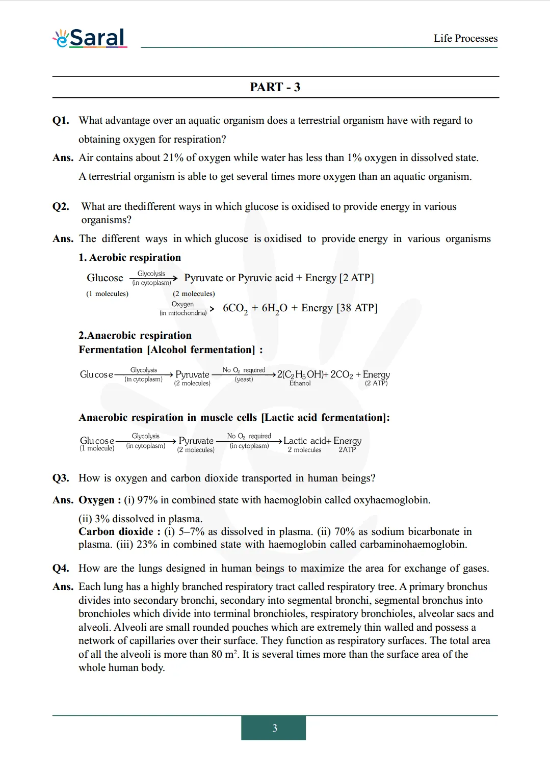 NCERT Solutions for Class 10 Science Chapter 6 Image 3
