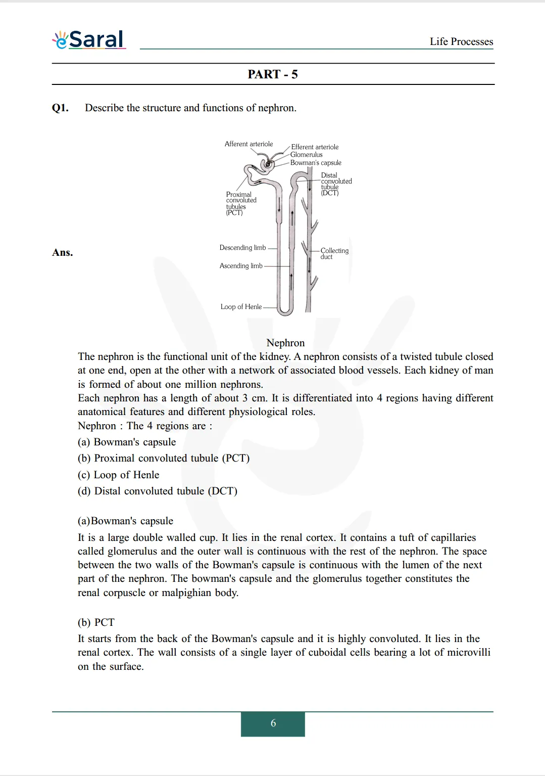 NCERT Solutions for Class 10 Science Chapter 6 Image 6