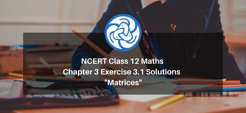 NCERT Class 12 Maths Chapter 3 Exercise 3.1 Solutions - Matrices - Free PDF Download