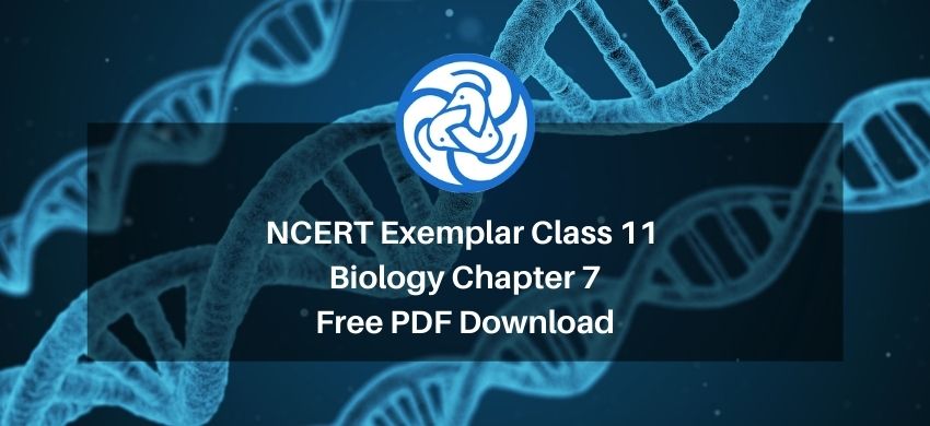 NCERT Exemplar Class 11 Biology Chapter 7 - eSaral