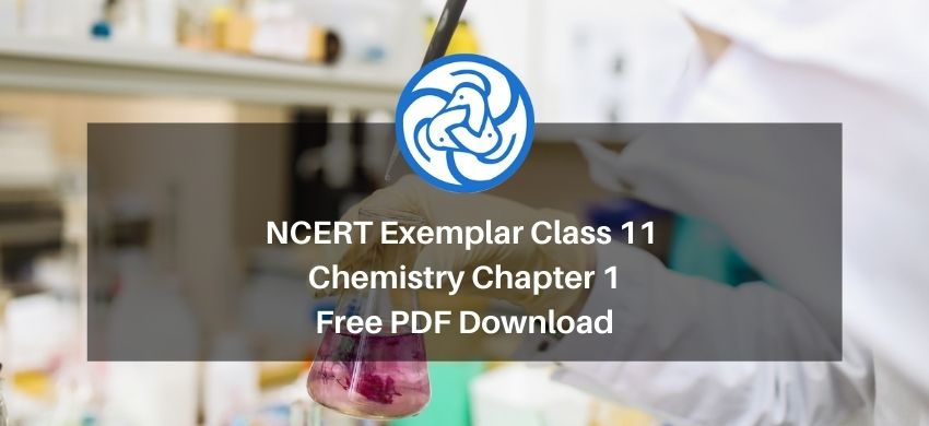 NCERT Exemplar Class 11 Chemistry Chapter 1 - Some Basic concepts of Chemistry - Free PDF Download