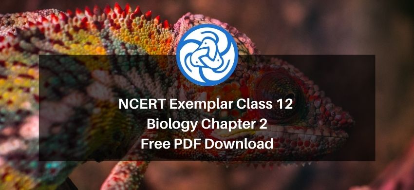 NCERT Exemplar Class 12 Biology Chapter 2 - Sexual Reproduction in Flowering plant - Free PDF Download