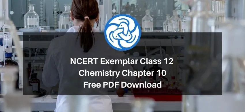 NCERT Exemplar Class 12 Chemistry Chapter 10 - Haloalkanes and Haloarenes - Free PDF Download