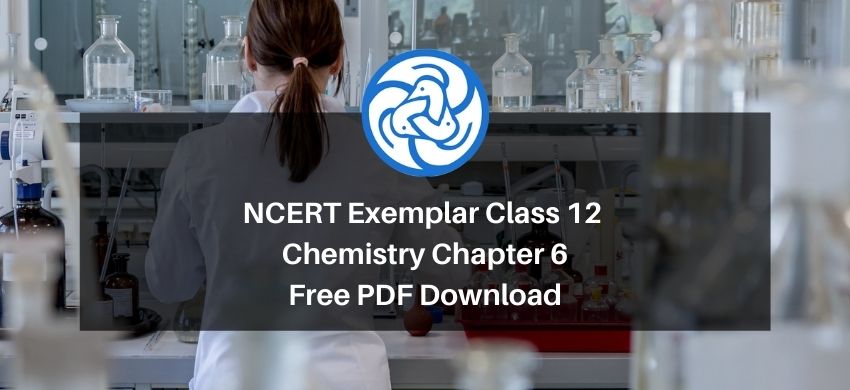 NCERT Exemplar Class 12 Chemistry Chapter 6 - General Principles and Processes of Isolation of Elements - Free PDF Download