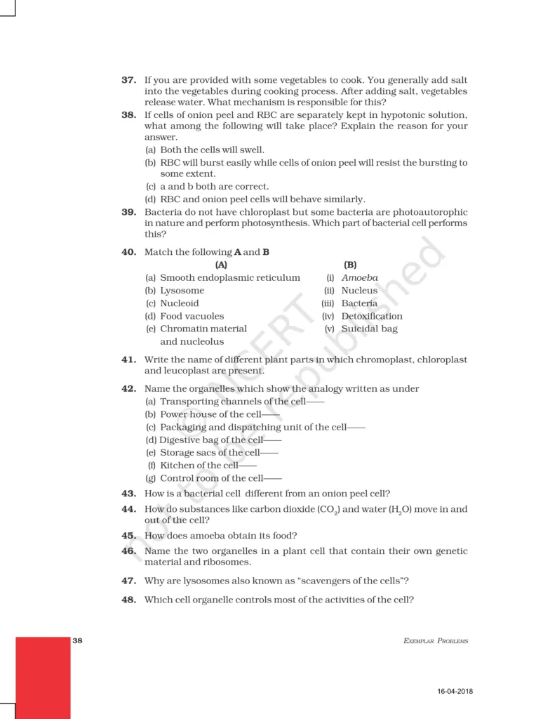 NCERT Exemplar Image 6