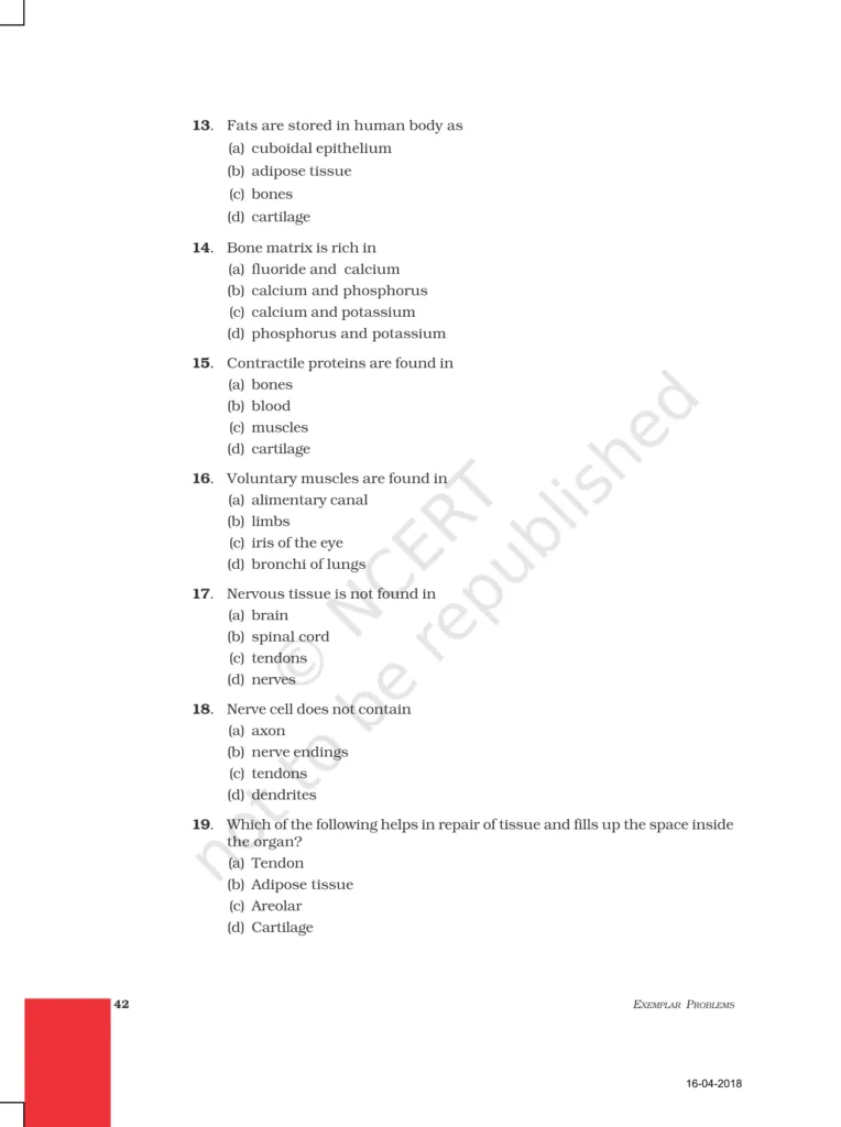 NCERT Exemplar Class 9 Science Chapter 6 Image 3