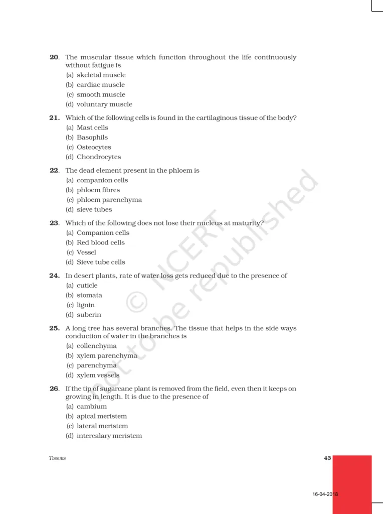NCERT Exemplar Image 4