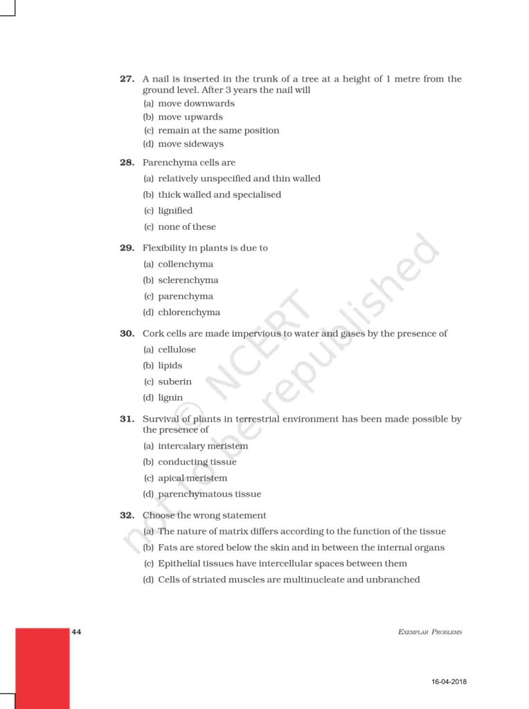 NCERT Exemplar Image 5
