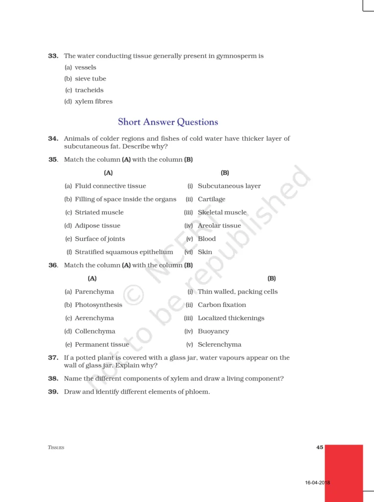 NCERT Exemplar Image 6