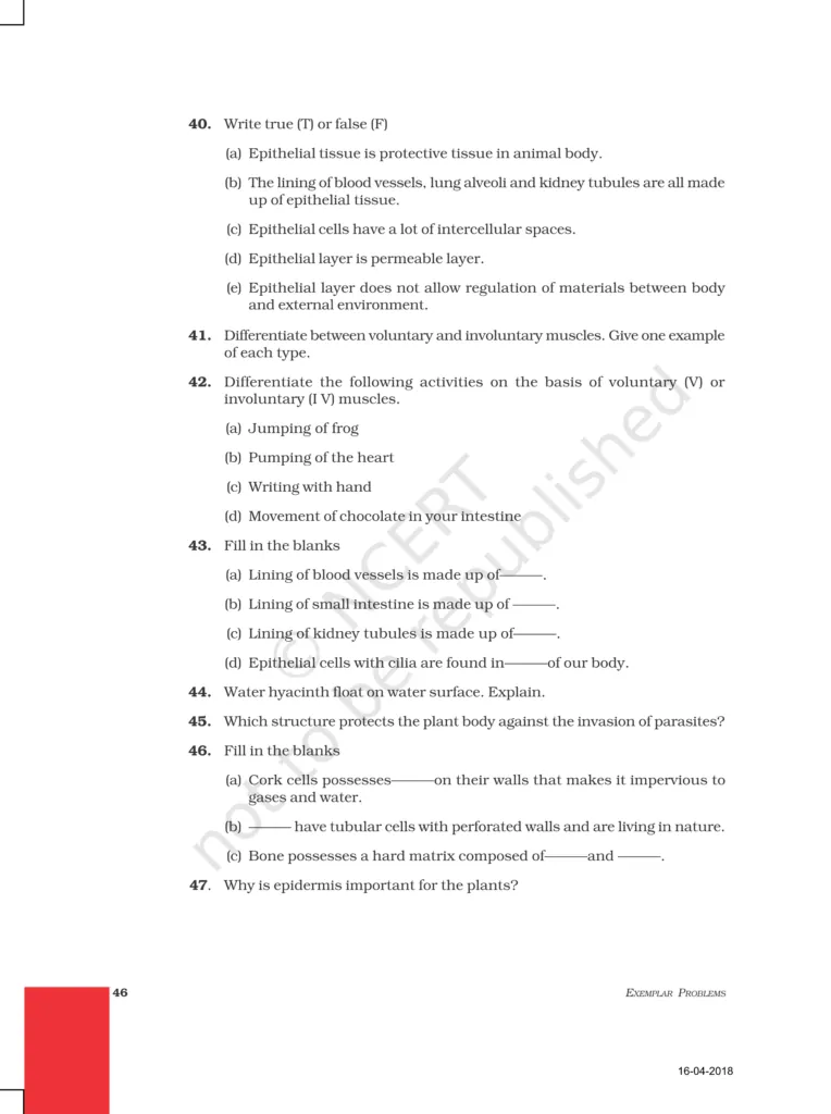 NCERT Exemplar Image 7