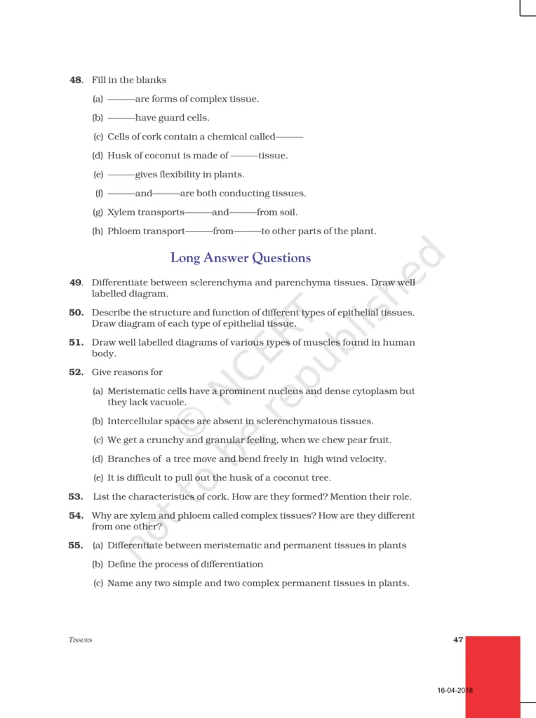 NCERT Exemplar Image 8
