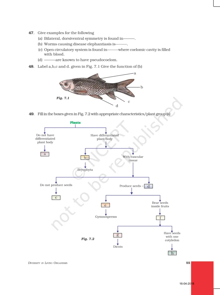 NCERT Exemplar Image 8