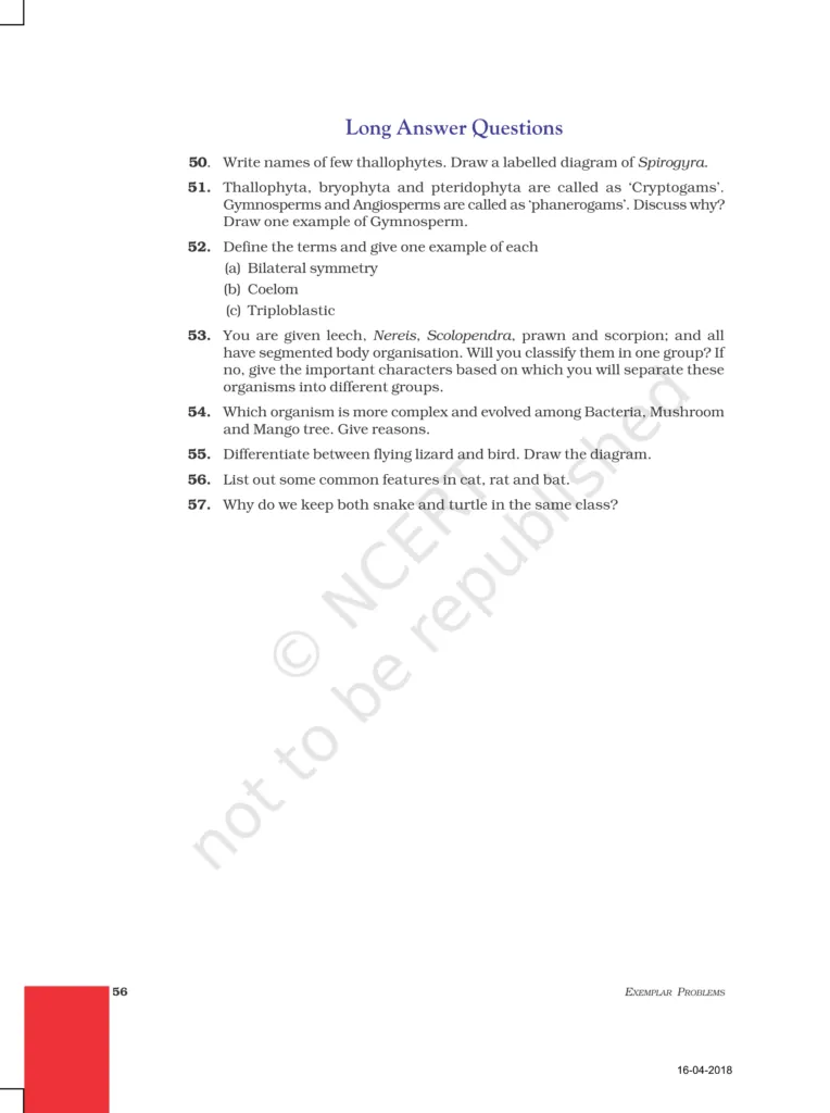 NCERT Exemplar Image 9