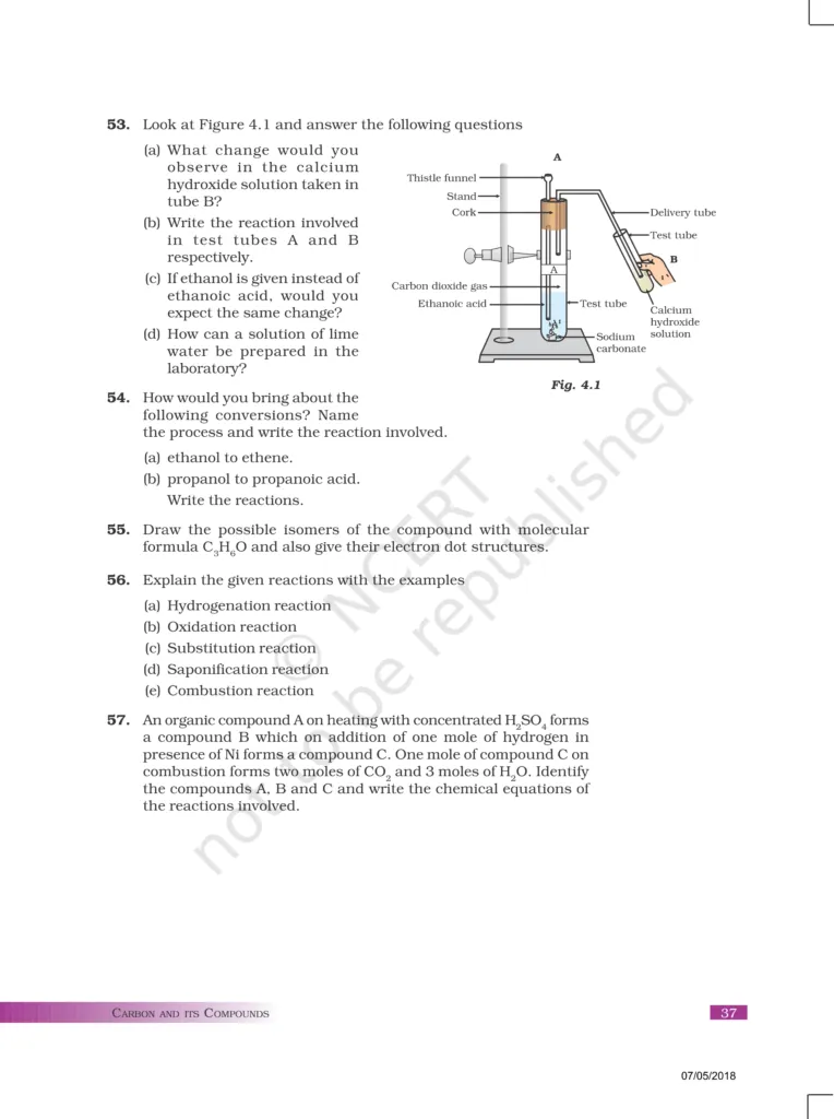 NCERT Exemplar Image 10