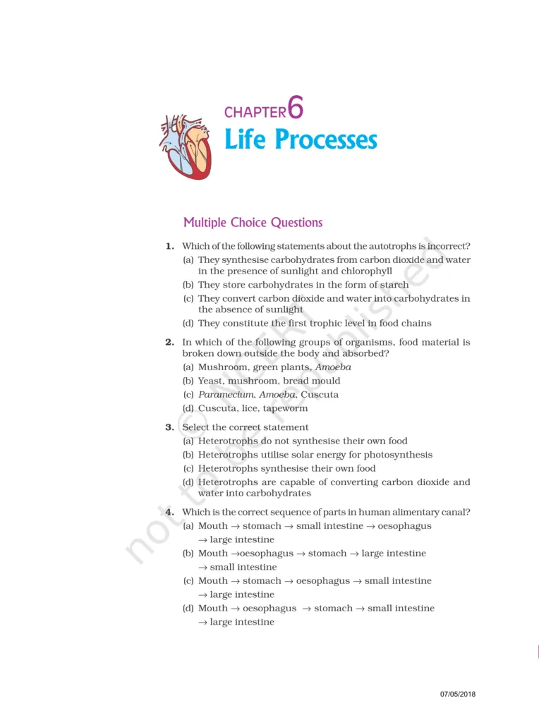 NCERT Exemplar Class 10 Science Chapter 6 Image 1