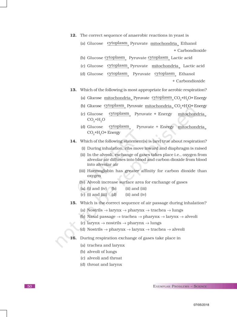 NCERT Exemplar Class 10 Science Chapter 6 Image 3