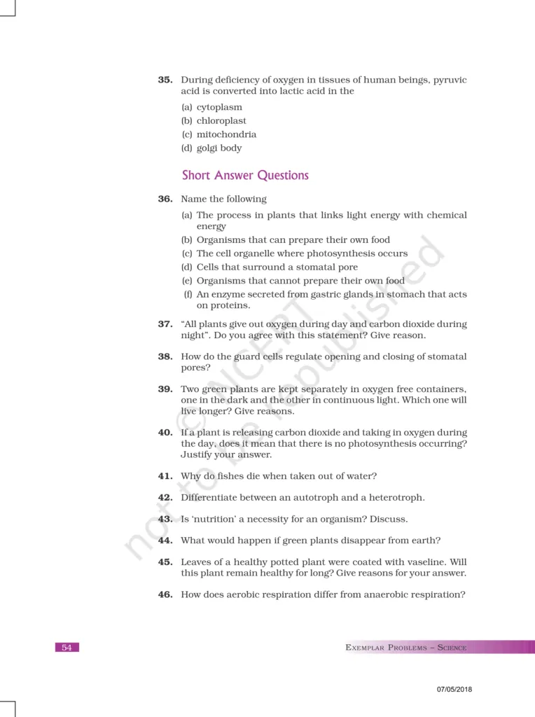 NCERT Exemplar Image 7
