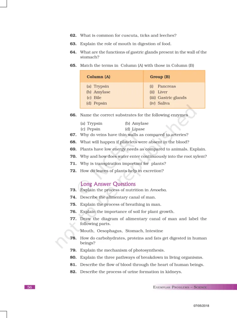 NCERT Exemplar Image 9