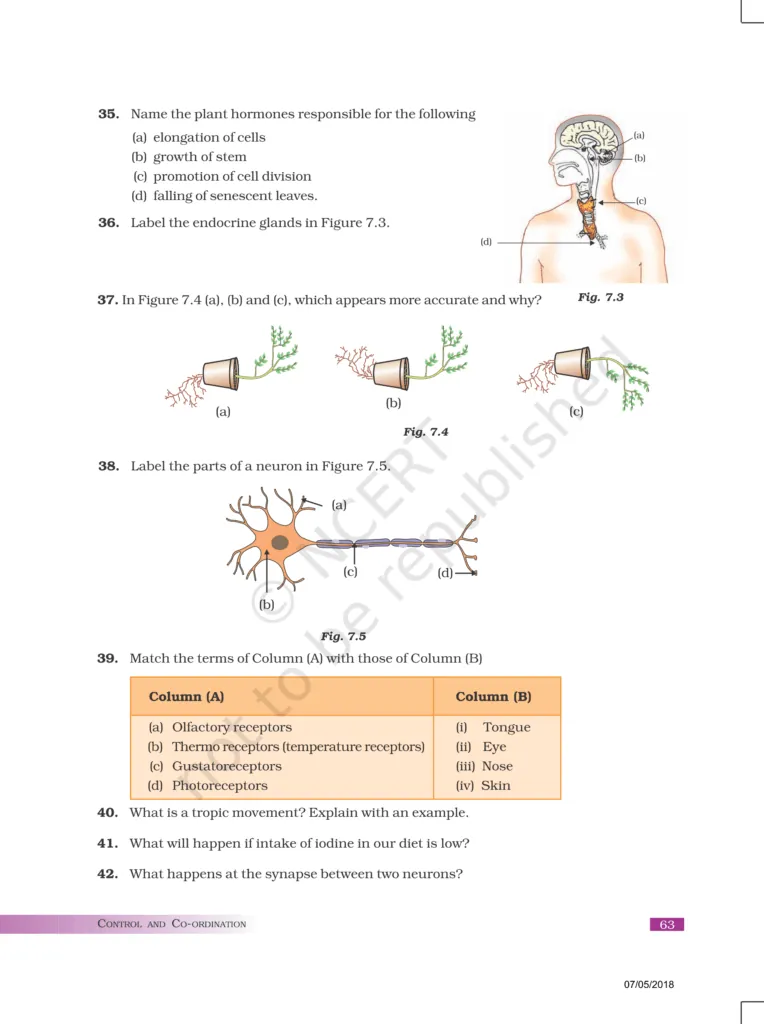NCERT Exemplar Image 7