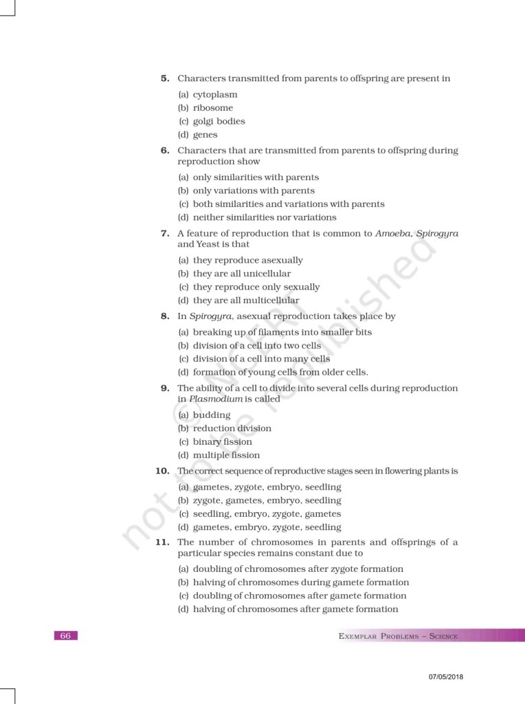 NCERT Exemplar Class 10 Science Chapter 8 Image 2