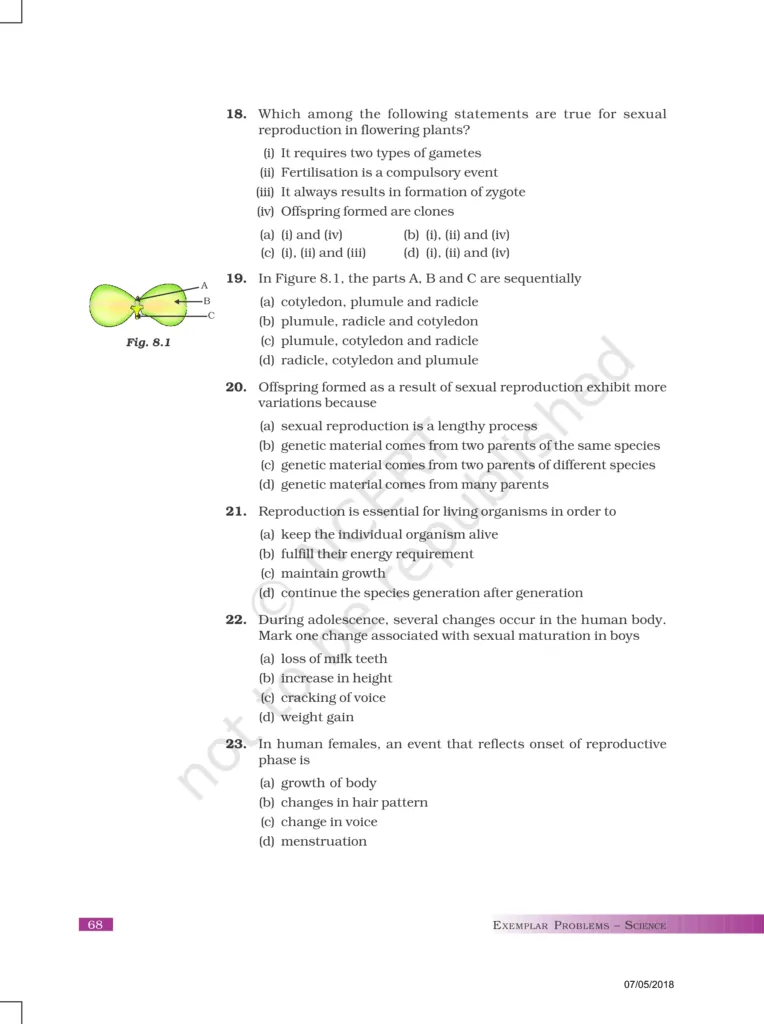 NCERT Exemplar Image 4