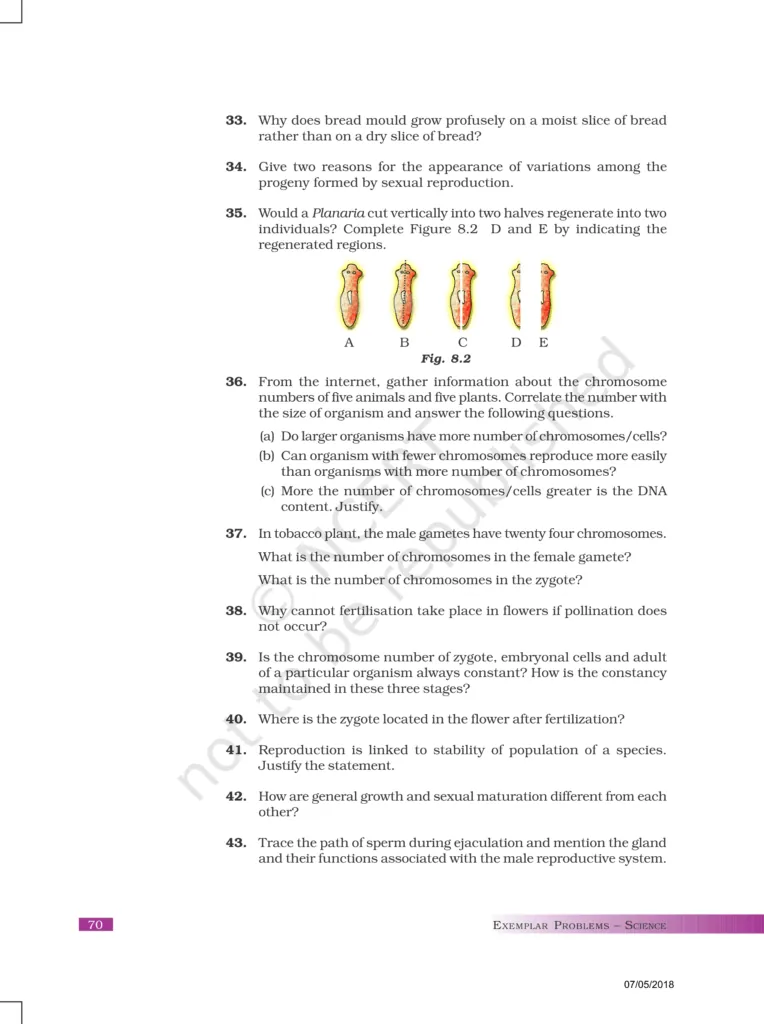 NCERT Exemplar Image 6
