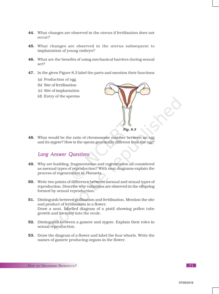 NCERT Exemplar Image 7