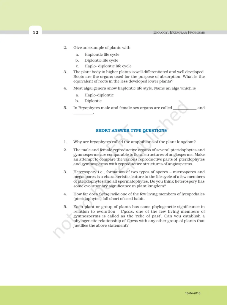 NCERT Exemplar Class 11 Biology Chapter 3 Image 3