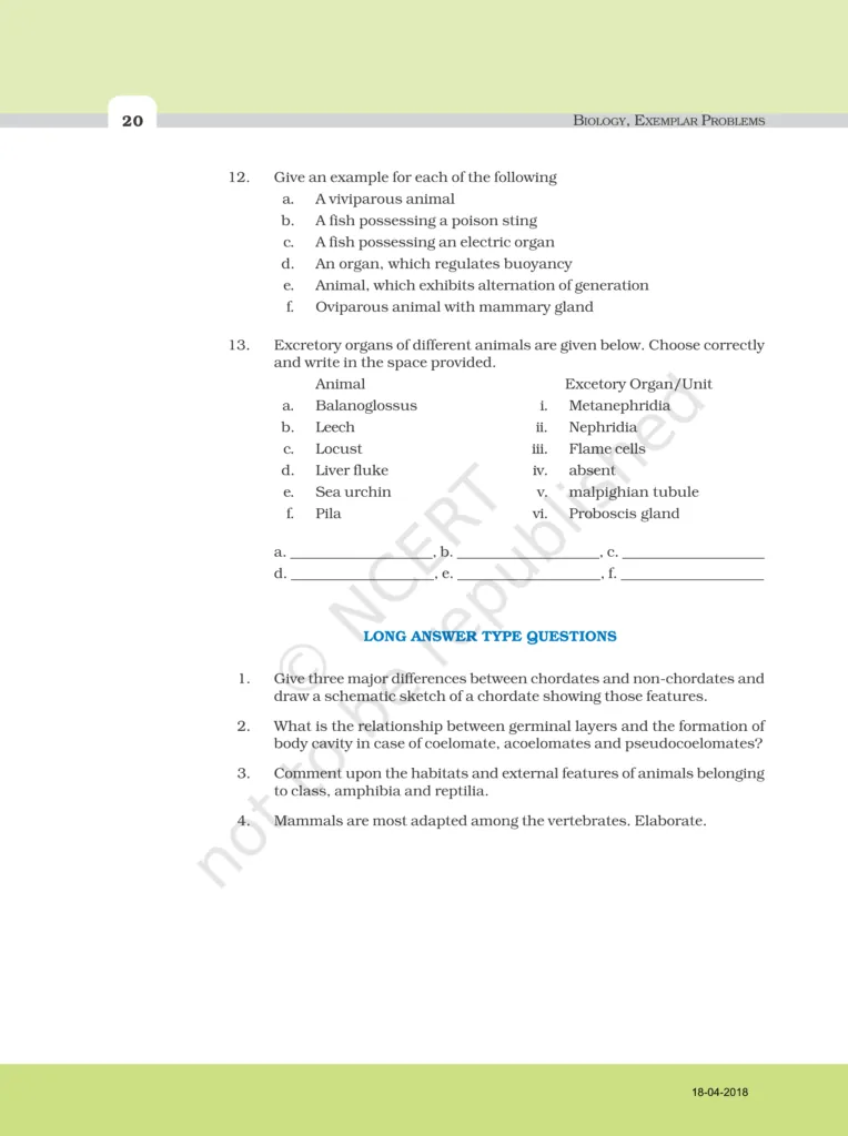 NCERT Exemplar Image 7