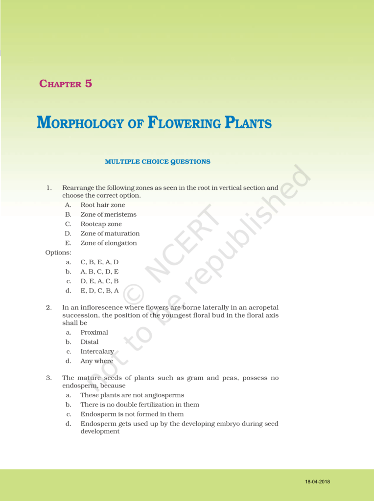 NCERT Exemplar Class 11 Biology Chapter 5 Image 1