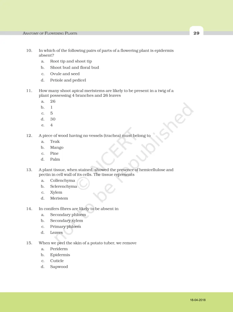 NCERT Exemplar Class 11 Biology Chapter 6 Image 3