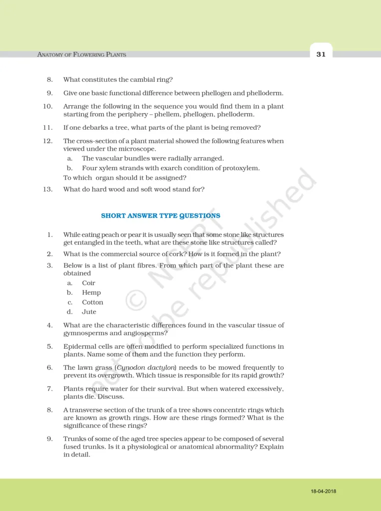 NCERT Exemplar Image 5