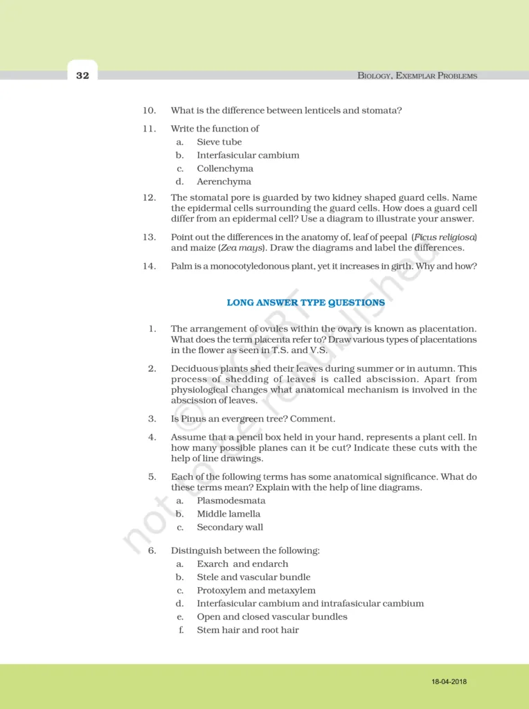 NCERT Exemplar Image 6