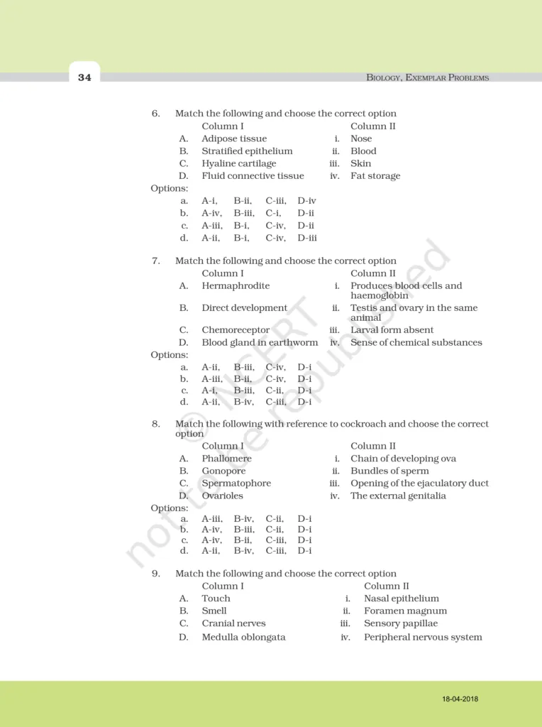 NCERT Exemplar Class 11 Biology Chapter 7 Image 2