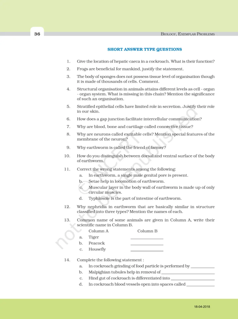 NCERT Exemplar Image 4