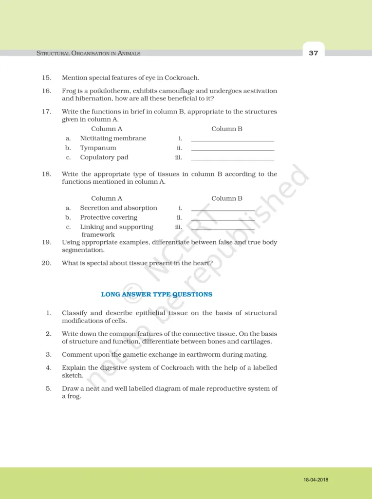 NCERT Exemplar Image 5