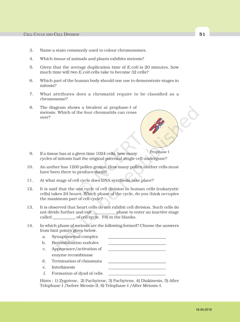 NCERT Exemplar Class 11 Biology Chapter 10 Image 3