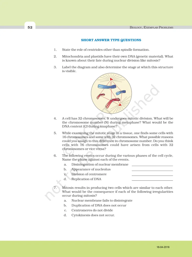 NCERT Exemplar Class 11 Biology Chapter 10 Image 4