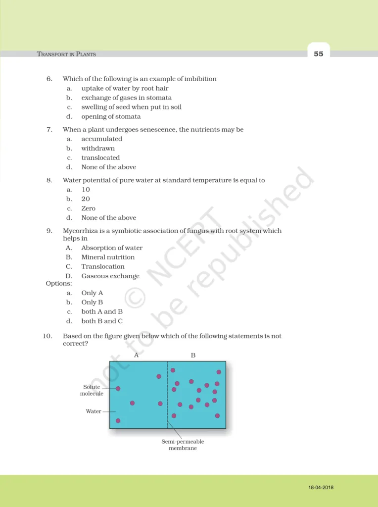 NCERT Exemplar Class 11 Biology Chapter 11 Image 2