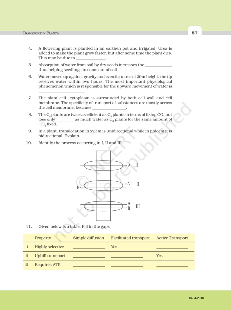 NCERT Exemplar Class 11 Biology Chapter 11 Image 4