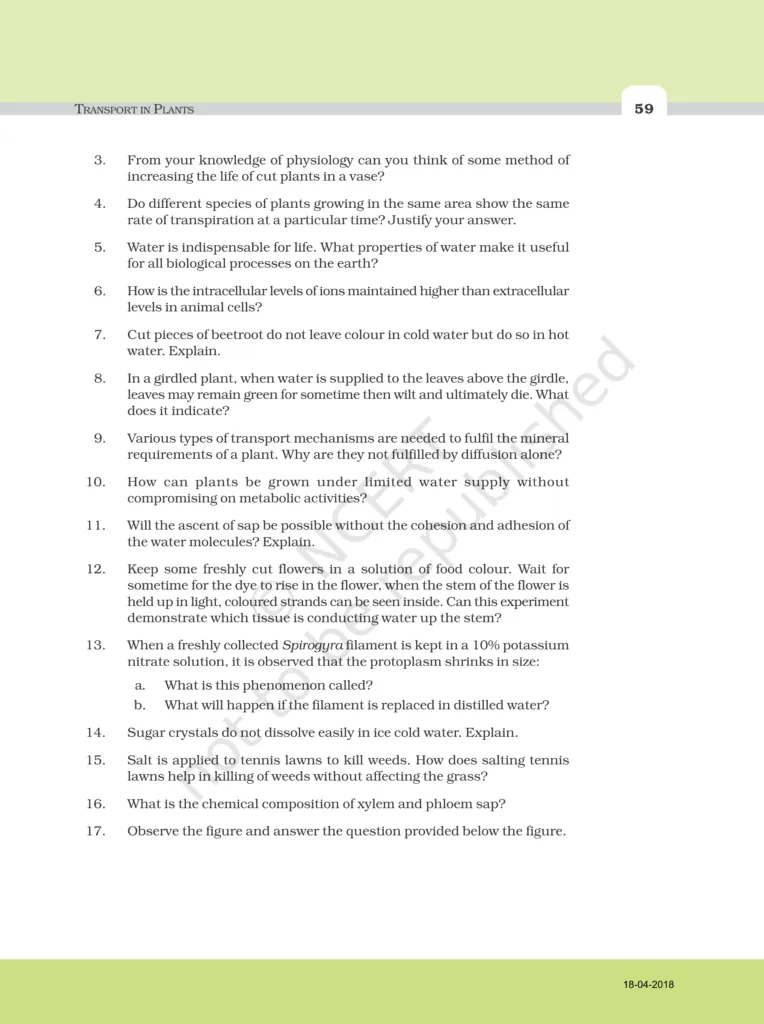 NCERT Exemplar Class 11 Biology Chapter 11 Image 6